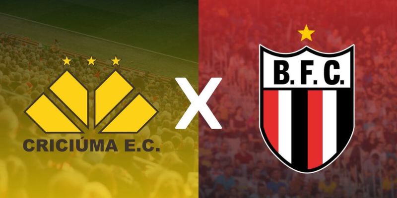 Criciuma Vs Botafogo Sp Diễn Ra Vào Lúc 02h30 Ngày 17/11 - Vòng 37 Giải Hạng B Brazil